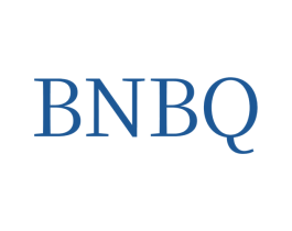 BNBQ 第3类化妆品商标图样