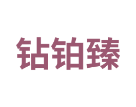 钻铂臻 第14类珠宝钟表商标图样