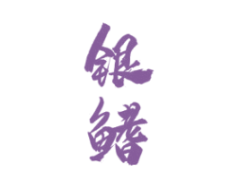 银鳍 第28类体育玩具商标图样