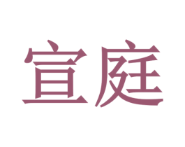 宣庭 第11类家用电器商标图样