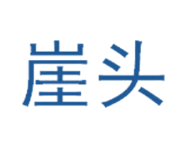 崖头 第9类科学仪器商标图样