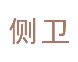 侧卫 第27类地毯席垫商标图样