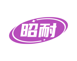 昭耐 第9类科学仪器商标图样