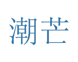 潮芒 第35类广告贸易商标图样
