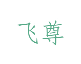 飞尊 第27类地毯席垫商标图样
