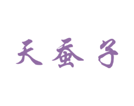 天蚕子 第42类技术服务商标图样