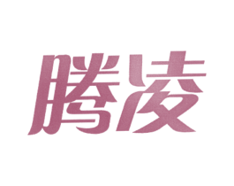 腾凌 第20类家具商标图样