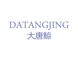 大唐鲸 第9类科学仪器商标图样