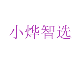 小烨智选 第9类科学仪器商标图样