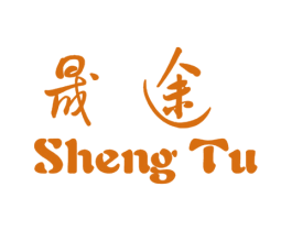 晟途 第41类教育娱乐商标图样