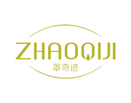 罩奇迹 第10类医疗器械商标图样