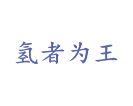 氢者为王 第25类服装鞋帽商标图样