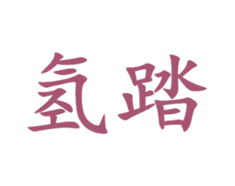 氢踏 第25类服装鞋帽商标图样