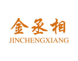 金丞相 第42类技术服务商标图样