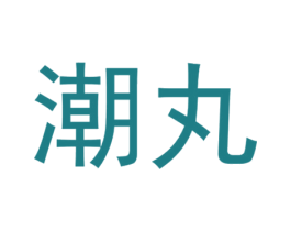 潮丸 第25类服装鞋帽商标图样
