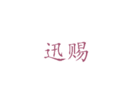 迅赐 第9类科学仪器商标图样