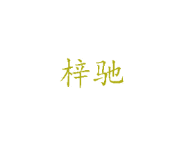 梓驰 第9类科学仪器商标图样