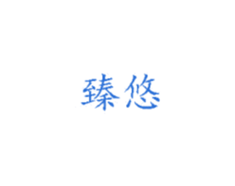 臻悠 第12类运输工具商标图样