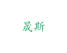 晟斯 第16类办公工具商标图样