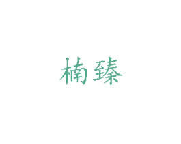 楠臻 第18类皮革箱包商标图样