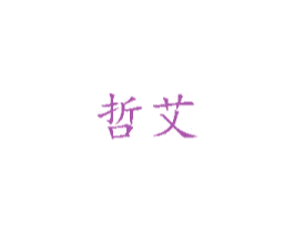 哲艾 第27类地毯席垫商标图样