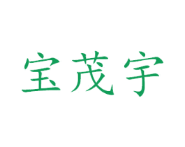 宝茂宇 第16类办公工具商标图样