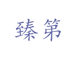 臻第 第27类地毯席垫商标图样