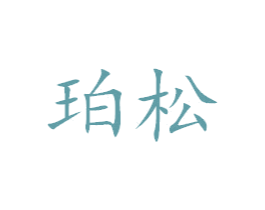 珀松 第25类服装鞋帽商标图样