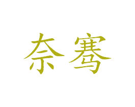 奈骞 第27类地毯席垫商标图样