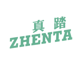 真踏 第25类服装鞋帽商标图样