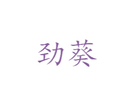 劲葵 第25类服装鞋帽商标图样