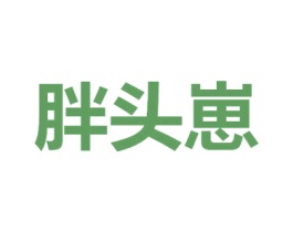 胖头崽 第12类运输工具商标图样