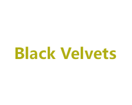 BLACK VELVETS 第10类医疗器械商标图样