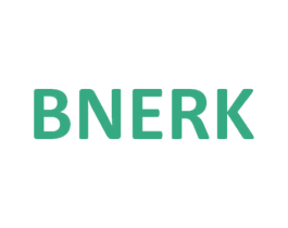 BNERK 第10类医疗器械商标图样