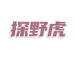 探野虎 第9类科学仪器商标图样