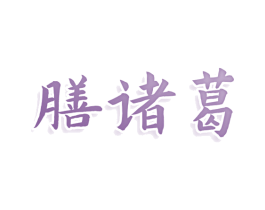 膳诸葛 第35类广告贸易商标图样