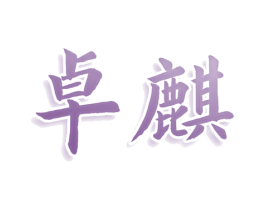 卓麒 第28类体育玩具商标图样