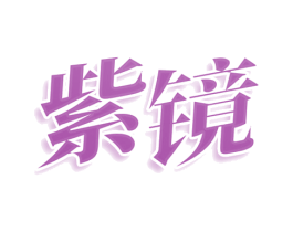 紫镜 第25类服装鞋帽商标图样