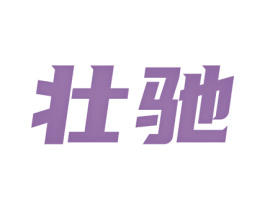 壮驰 第25类服装鞋帽商标图样