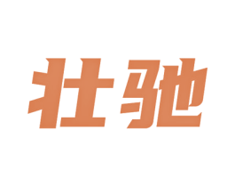壮驰 第12类运输工具商标图样