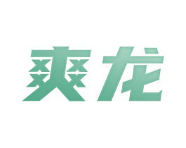 爽龙 第12类运输工具商标图样