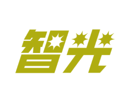 智光 第41类教育娱乐商标图样