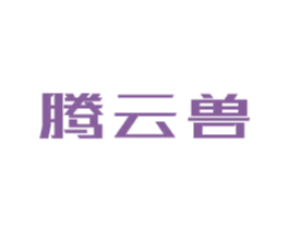 腾云兽 第9类科学仪器商标图样