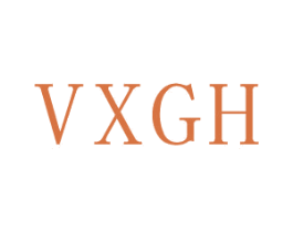 VXGH 第9类科学仪器商标图样