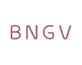 BNGV 第25类服装鞋帽商标图样