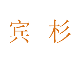 宾杉 第9类科学仪器商标图样