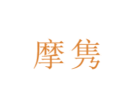 摩隽 第9类科学仪器商标图样