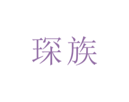 琛族 第9类科学仪器商标图样