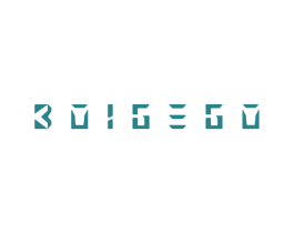 BOIGEGO 第9类科学仪器商标图样
