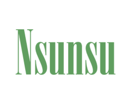 NSUNSU 第25类服装鞋帽商标图样
